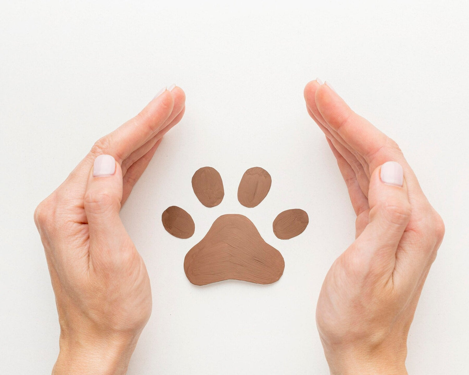 Pet Supplies